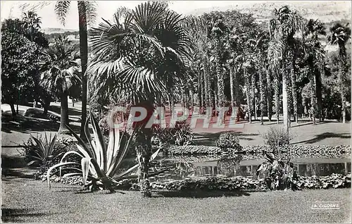 Cartes postales MONTE-CARLO.Les Jardins du Casino. Vision d'Afrique