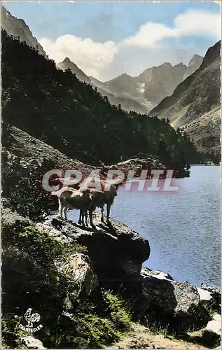 Cartes postales Le Lac Gaube- Au fond   le Vignemale