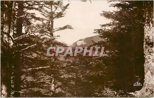 Cartes postales HAUTES-VOSGES.la Schlucht