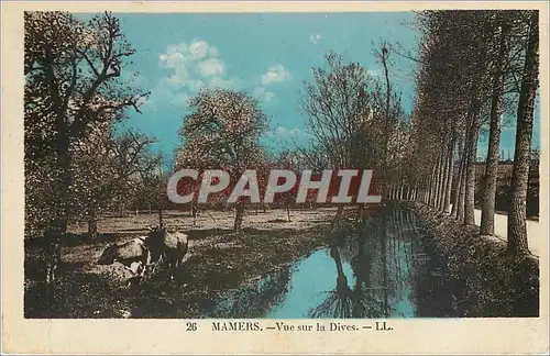 Cartes postales MAMERS (Sarthe)- Vue sur la Dives Vaches