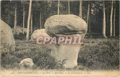 Cartes postales FONTAINEBLEAU-La Foret-Aprement-Le champignon -LL