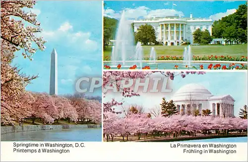 Cartes postales Printemps a Washington