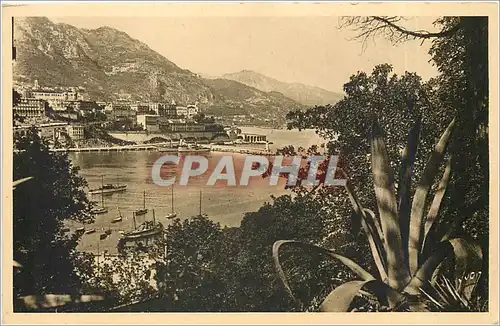 Cartes postales MONTE-CARLO (Principaute de Monaco) Vue prise des jardins de Monaco