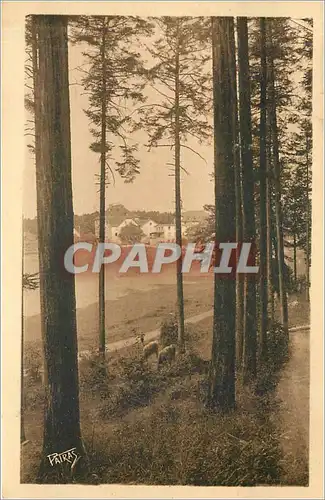 Cartes postales TROIS EPIS   Haute Alsace  altitude 700m