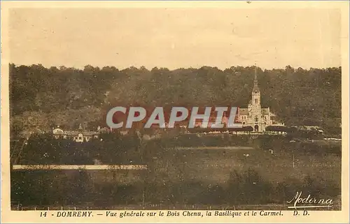 Ansichtskarte AK DOMREMY-Vue g�n�rale sur le bois Chenu la basilique et le Carmel D.D