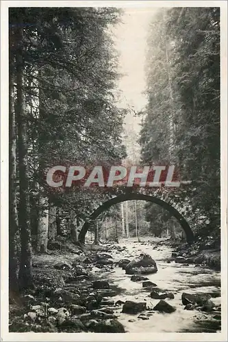 Cartes postales GERARDMER.Le pont des F�es