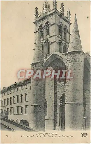 Cartes postales MONTPELLIER-La cathedral