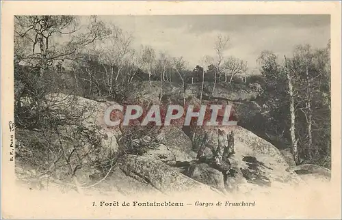 Ansichtskarte AK Foret de Fontainebleau Gorges de Franchard