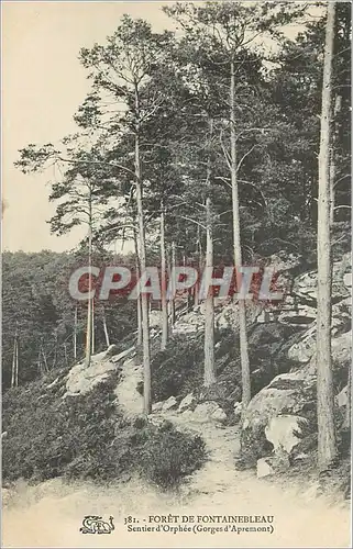 Ansichtskarte AK Foret de Fontainebleau Sentier d'Orphee Gorges d'Apremont