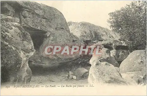 Cartes postales Fontainebleau La Foret La Roche qui pleure