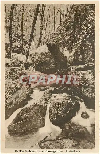 Cartes postales Petite Suisse Luxembourgeoise Hallerbach
