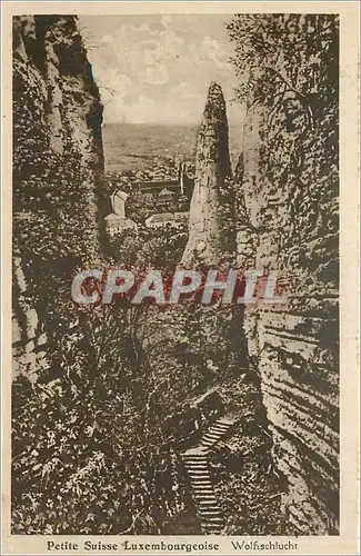 Cartes postales Petite Suisse Luxembourgeoise Wolfsschlucht