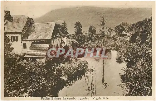 Ansichtskarte AK Petite Suisse Luxembourgeoise Vogelsmuhle