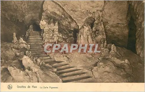 Ansichtskarte AK Grottes de Han La Salle Vigneron