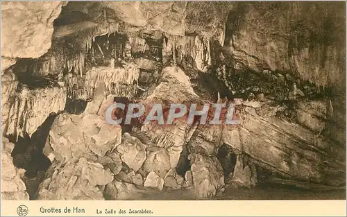 Ansichtskarte AK Grottes de Han La Salle des Scarabees