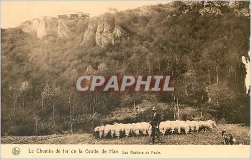 Ansichtskarte AK Le Chemin de fer de la Grotte de Han Les Rochers de Faule Chien Moutons