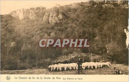 Cartes postales Le Chemin de fer de la Grotte de Han Les Rochers de Faule Chien Moutons