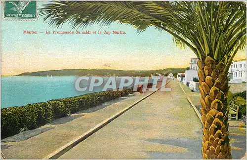 Cartes postales Menton La Promenade du midi et le Cap Marti