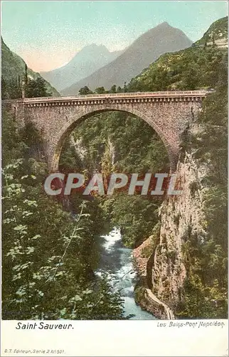 Cartes postales moderne Saint Sauveur Les Bains Pont Napoleon