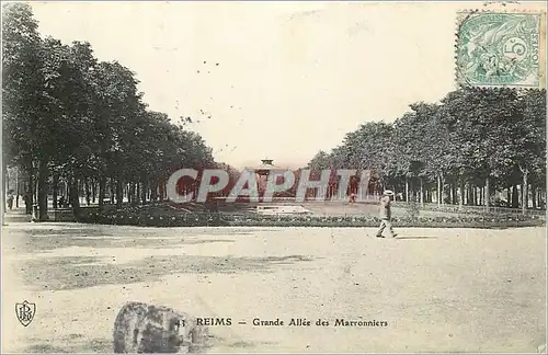Cartes postales moderne Reims Grande Allee des Marronniers