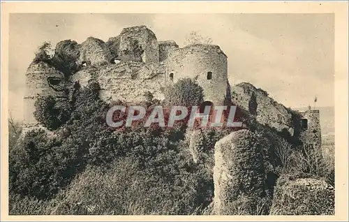 Cartes postales Chateau d'Arques la Bataille SI Face Sud Est