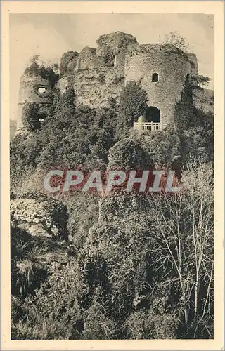 Cartes postales Chateau d'Arques la Bataille SI Tour d'Angle