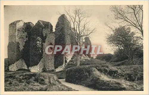 Cartes postales Chateau d'Arques la Bataille SI Le Donjon