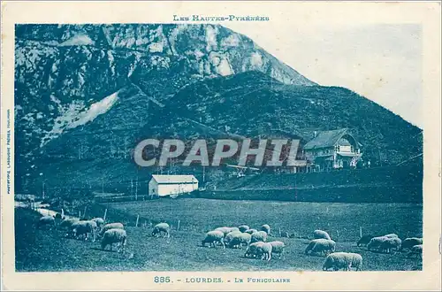 Ansichtskarte AK Les Hautes Pyrenees Lourdes Le Funiculaire Moutons