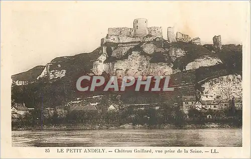 Ansichtskarte AK Le Petit Andely Chateau Gaillard vue prise de la Seine