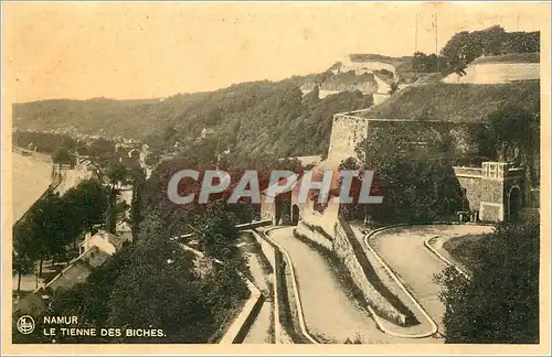 Cartes postales Namur Le Tienne des Biches