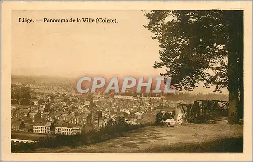 Cartes postales Liege Panorama de la Ville Cointe