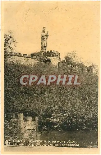 Cartes postales Louvain La Vierge ND du Mont Cesar