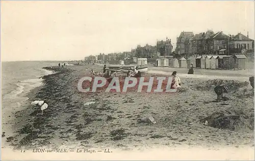 Cartes postales Lion sur Mer La Plage