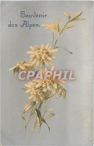 Cartes postales Souvenir des Alpes Fleurs