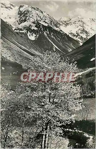 Cartes postales moderne Le Col de Val Estreche et la Chaine de Chaillol