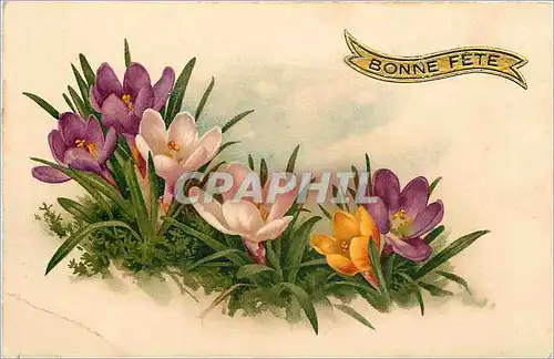 Cartes postales Bonne Fete