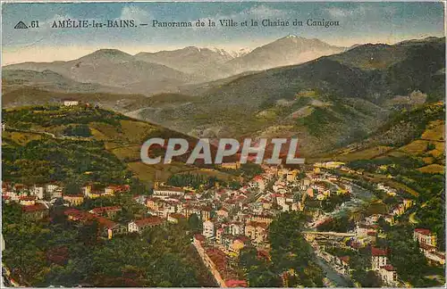 Cartes postales Amelie les Bains Panorama de la Ville et la Chaine du Canigou