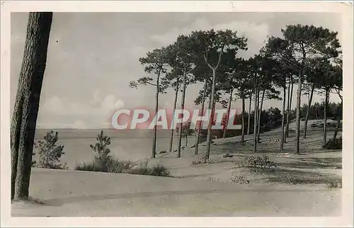 Cartes postales Arcachon Gironde Bassin Dune Foret