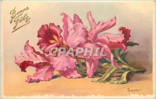 Cartes postales Bonne Fete