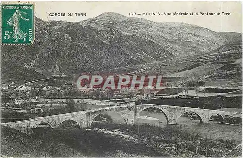 Ansichtskarte AK Gorges du Tarn Molines Vue generale et le Pont sur le Tarn