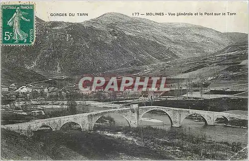 Cartes postales Gorges du Tarn Molines Vue generale et le Pont sur le Tarn
