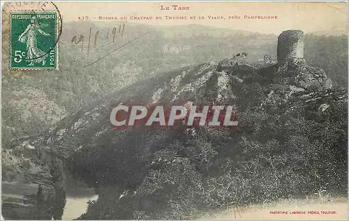 Cartes postales Le Tarn Ruines du Chateau