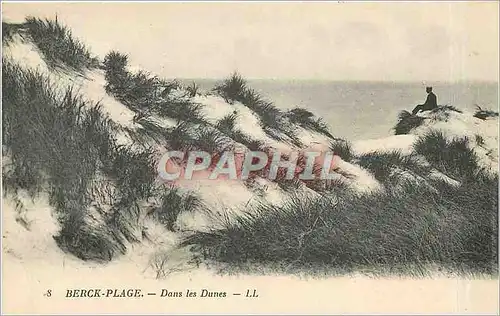 Cartes postales Berck Plage Dans les Dunes