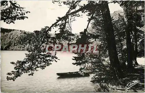 Moderne Karte Environs de Besse P de D Les jolis bords du Lac Pavin