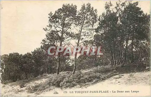 Ansichtskarte AK Le Touquet Paris Plage La Dune aux Loups