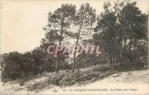 Cartes postales Le Touquet Paris Plage La Dune aux Loups