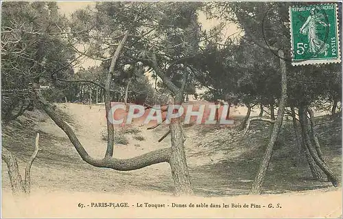 Ansichtskarte AK Paris Plage Le Touquet Dunes de sable dans les Bois de Pins