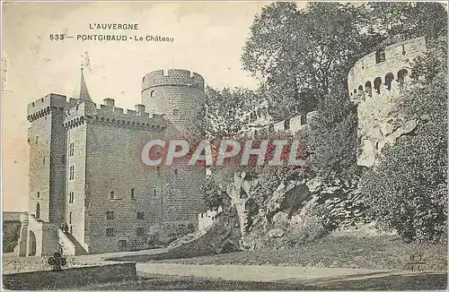 Cartes postales Pontgibaud Le Chateau
