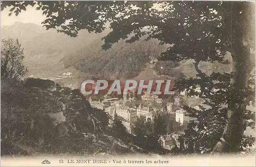 Cartes postales Le Mont Dore Vue a travers les arbres