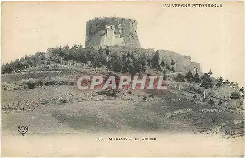 Cartes postales Murols Le Chateau
